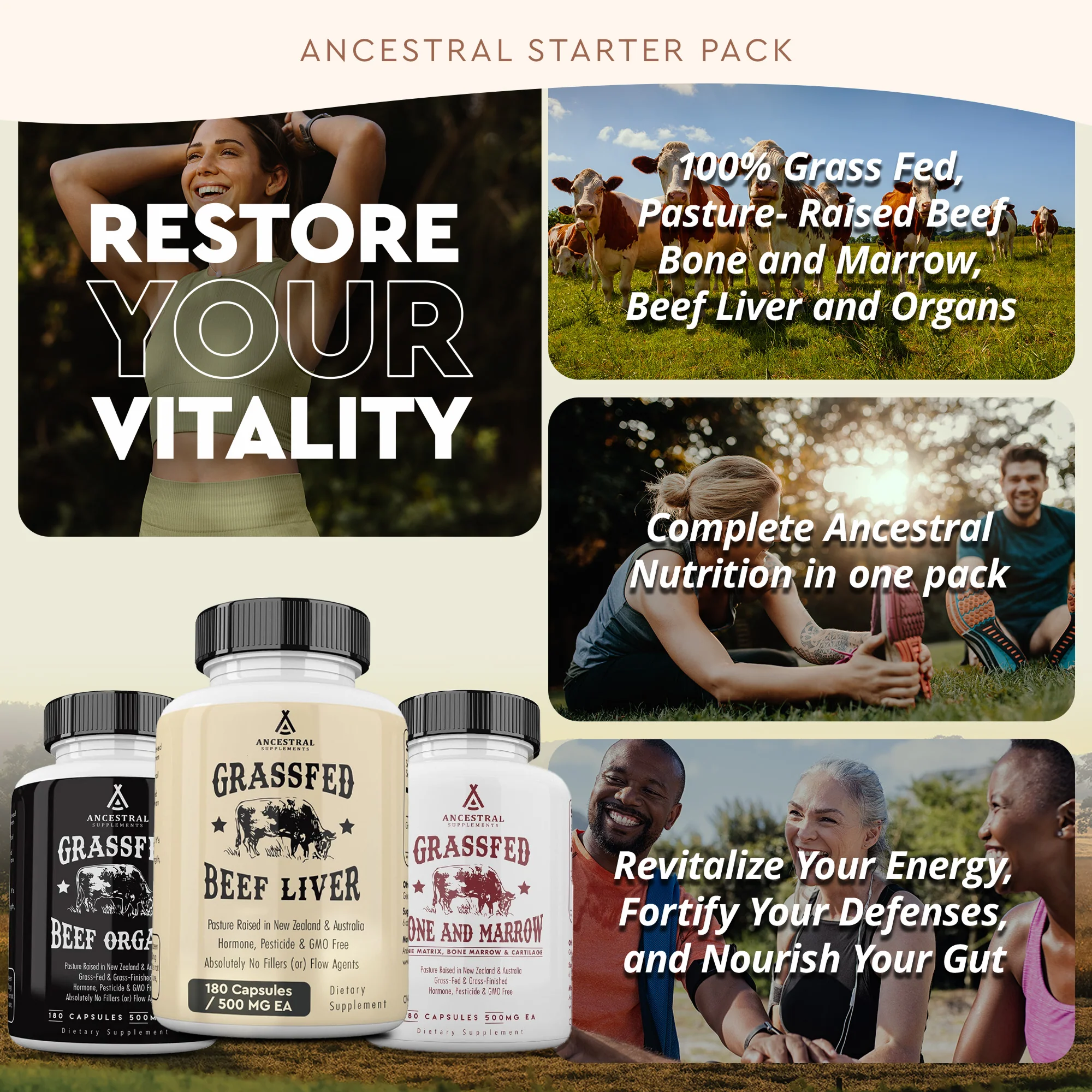 Ancestral Starter Pack - Image 3